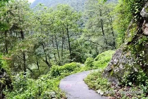 呼吸道疾病防治五大关切 权威回应来了